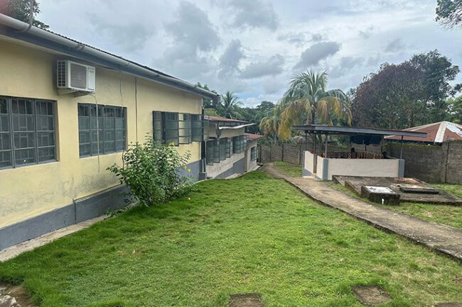 Yellow building with shrub on side of it.