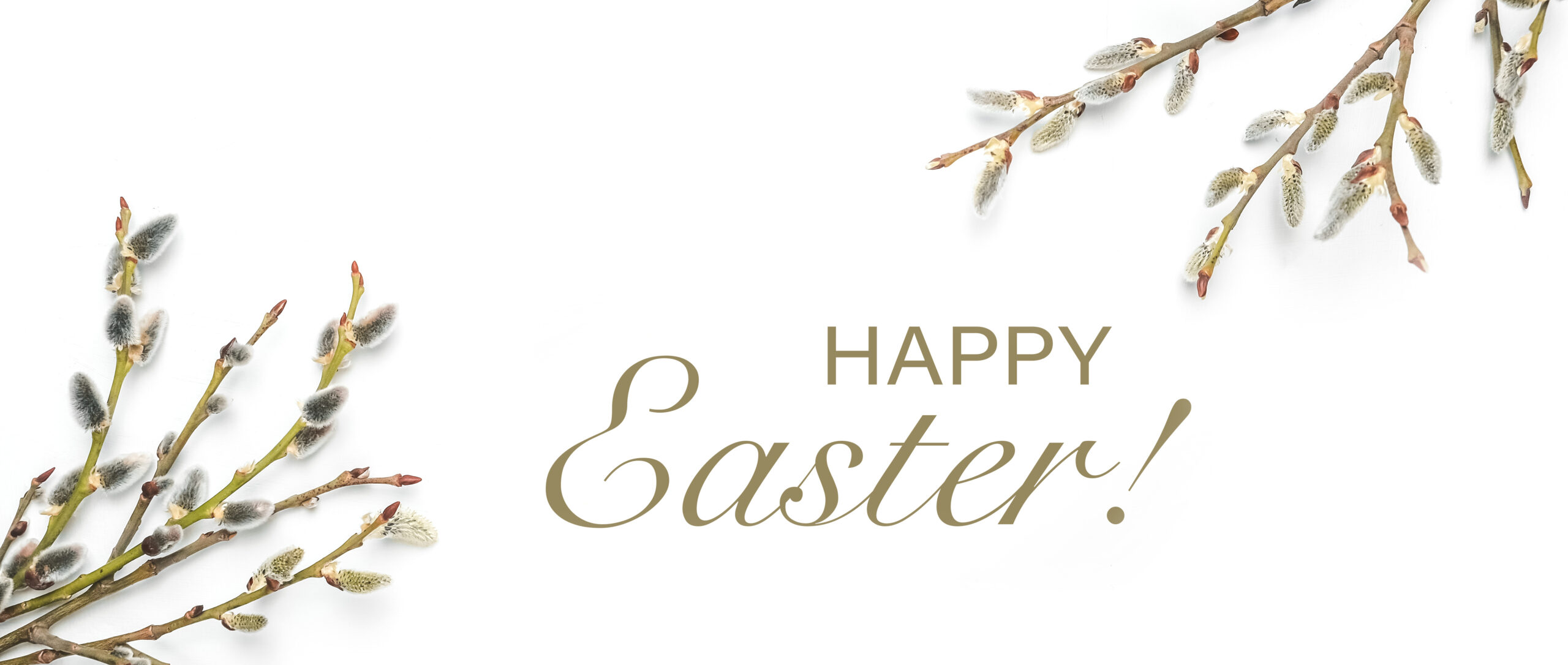 Happy Easter with white background and pretty leaves from left bottom and right top corners.